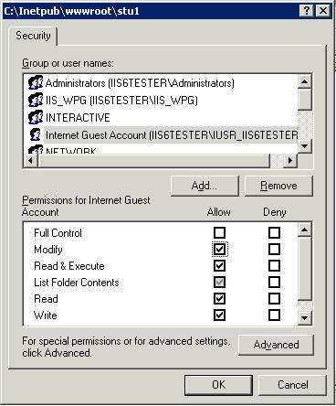 Microsoft Iis Modify Flag