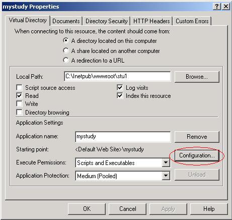 Microsoft Iis Virtual directory properties