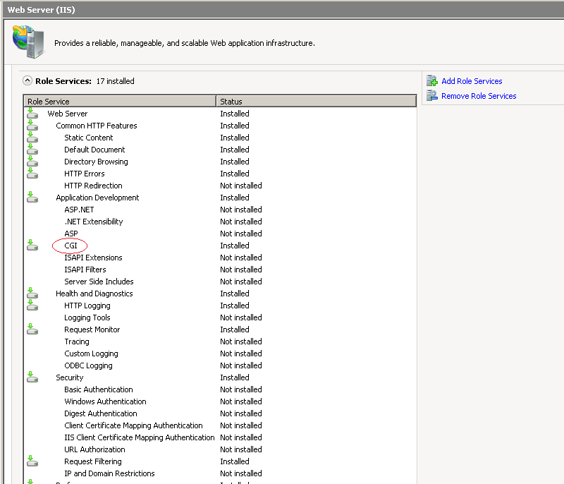 Microsoft Iis Cgi