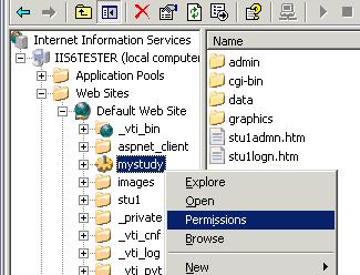 Microsoft Iis Permissions menu